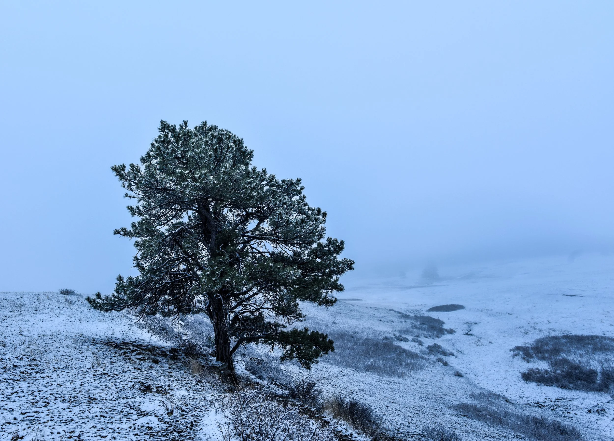 Montana Outdoors-32.jpg