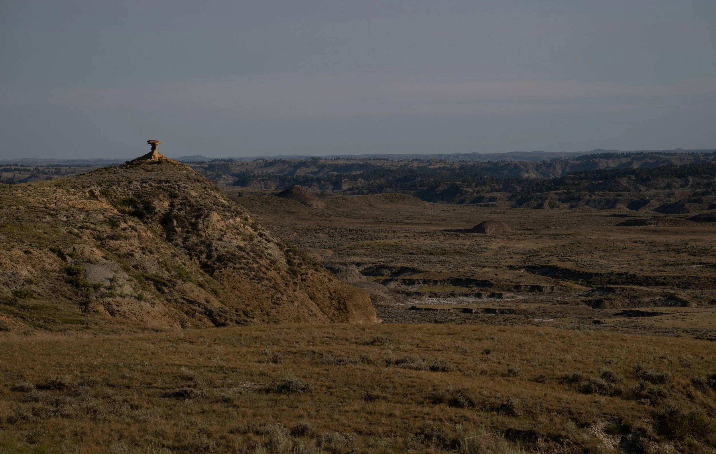 Montana Outdoors-20.jpg