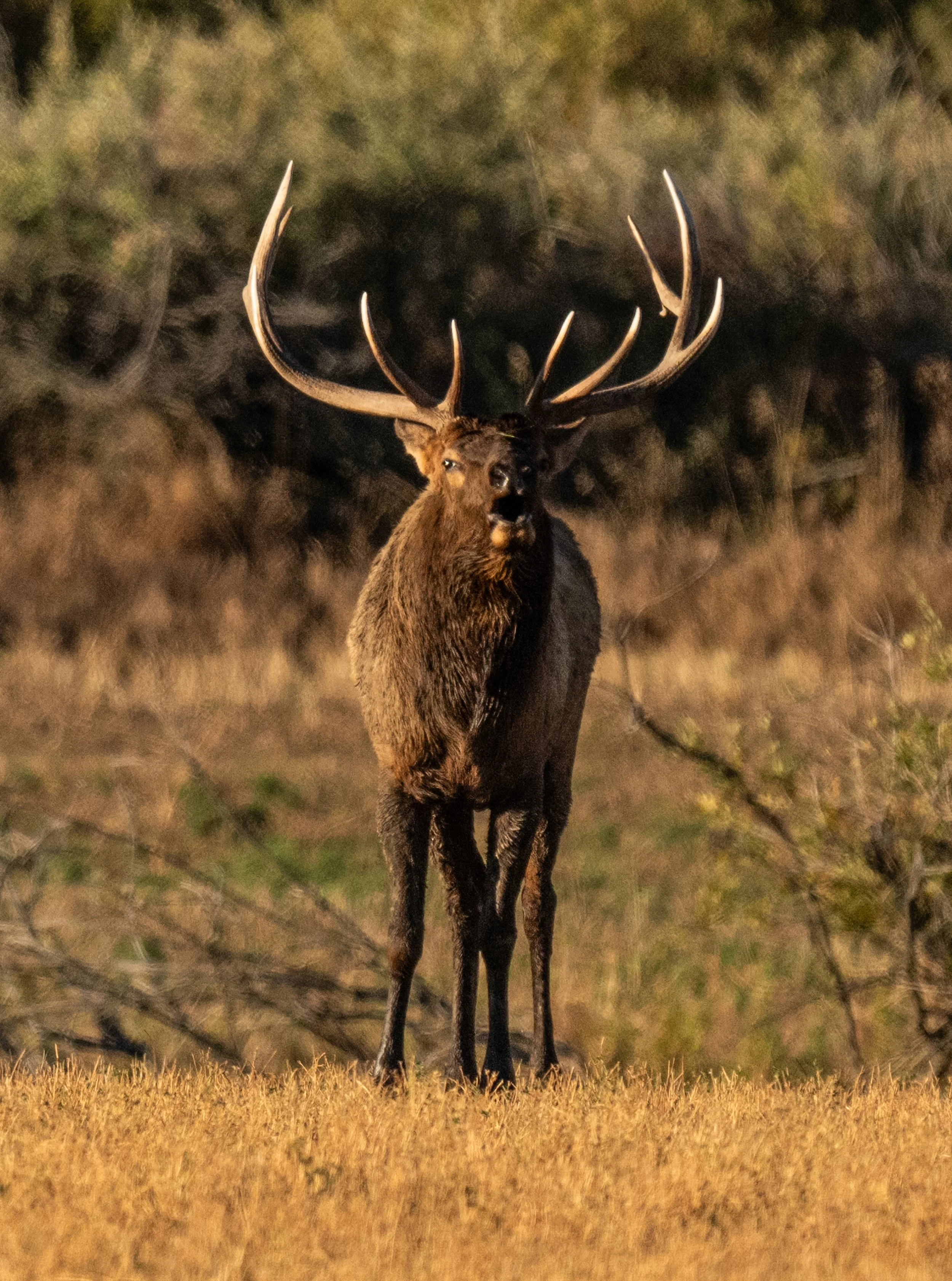 Montana Outdoors-37.jpg