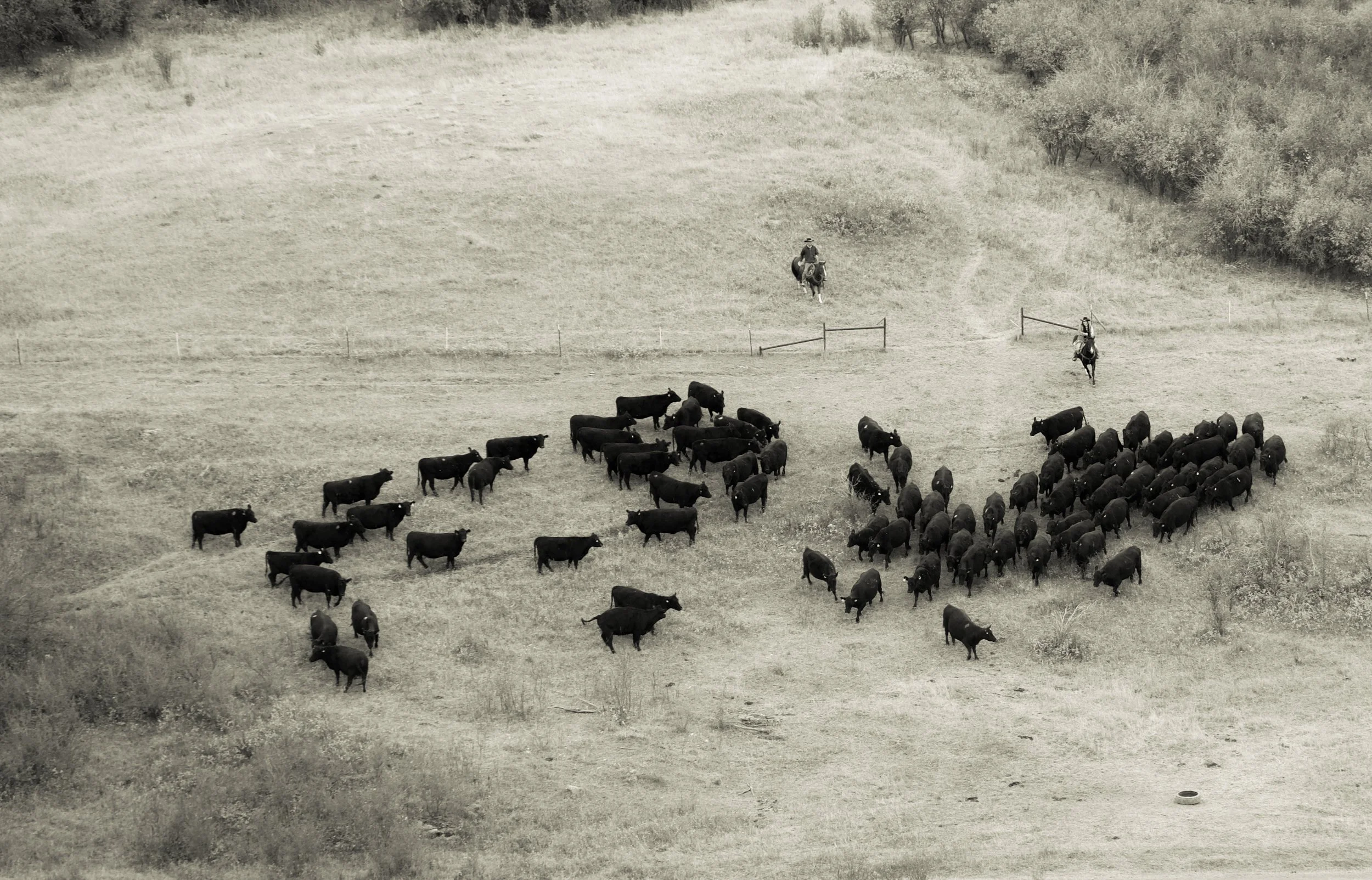 Montana Outdoors-6.jpg