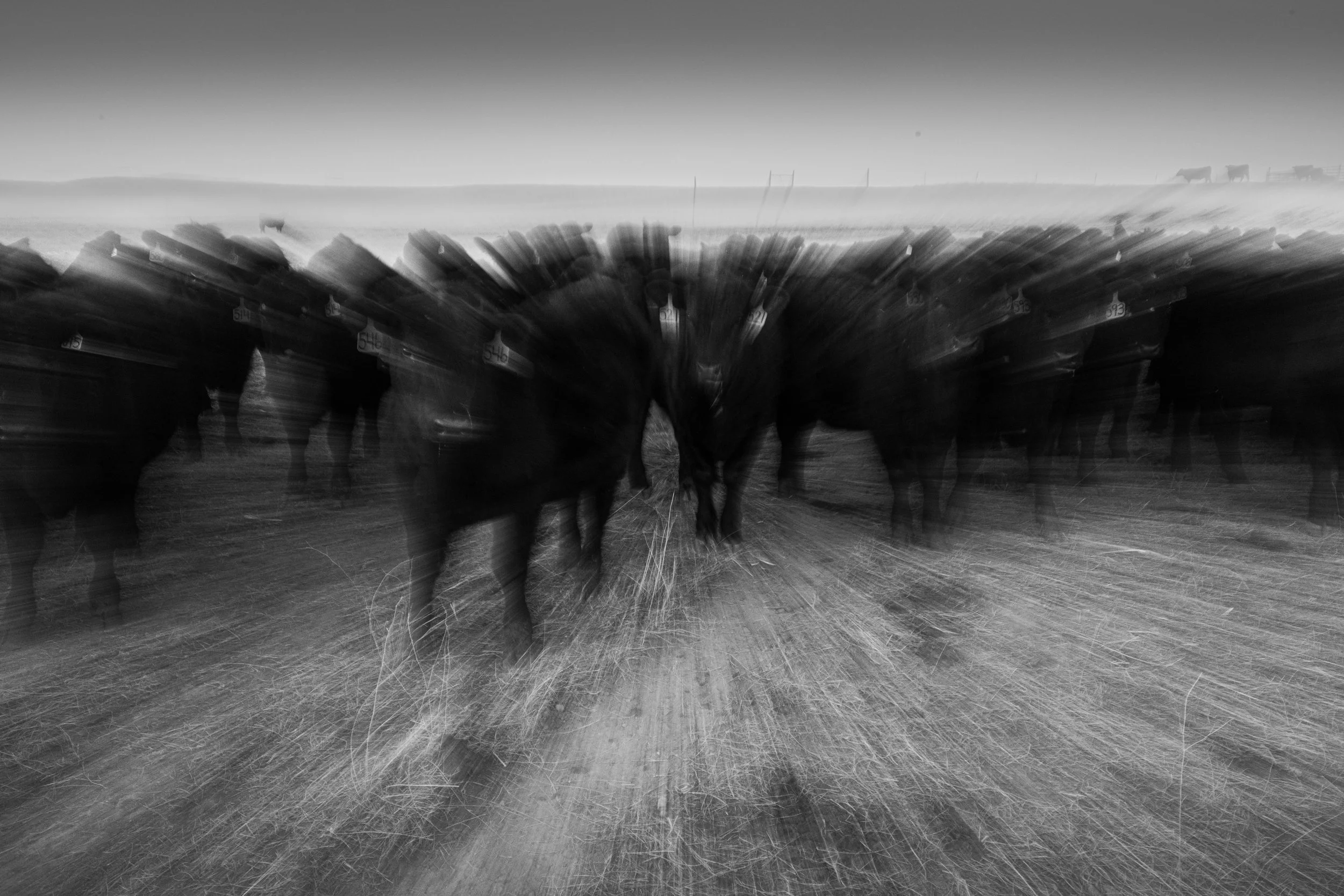 Montana Outdoors-22.jpg