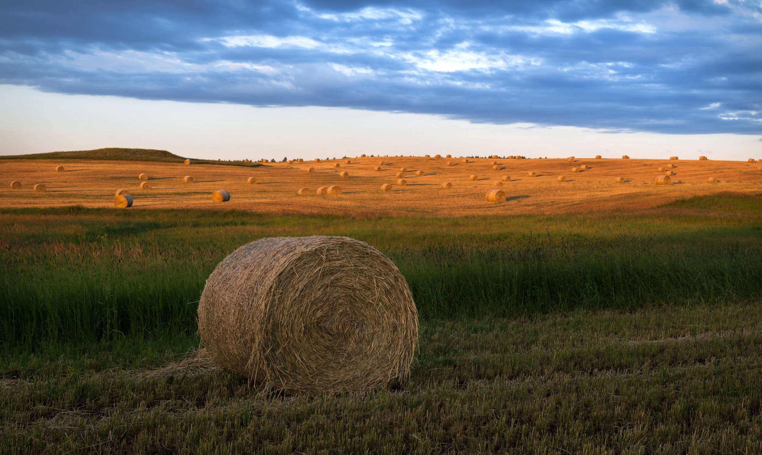 Montana Outdoors-38.jpg