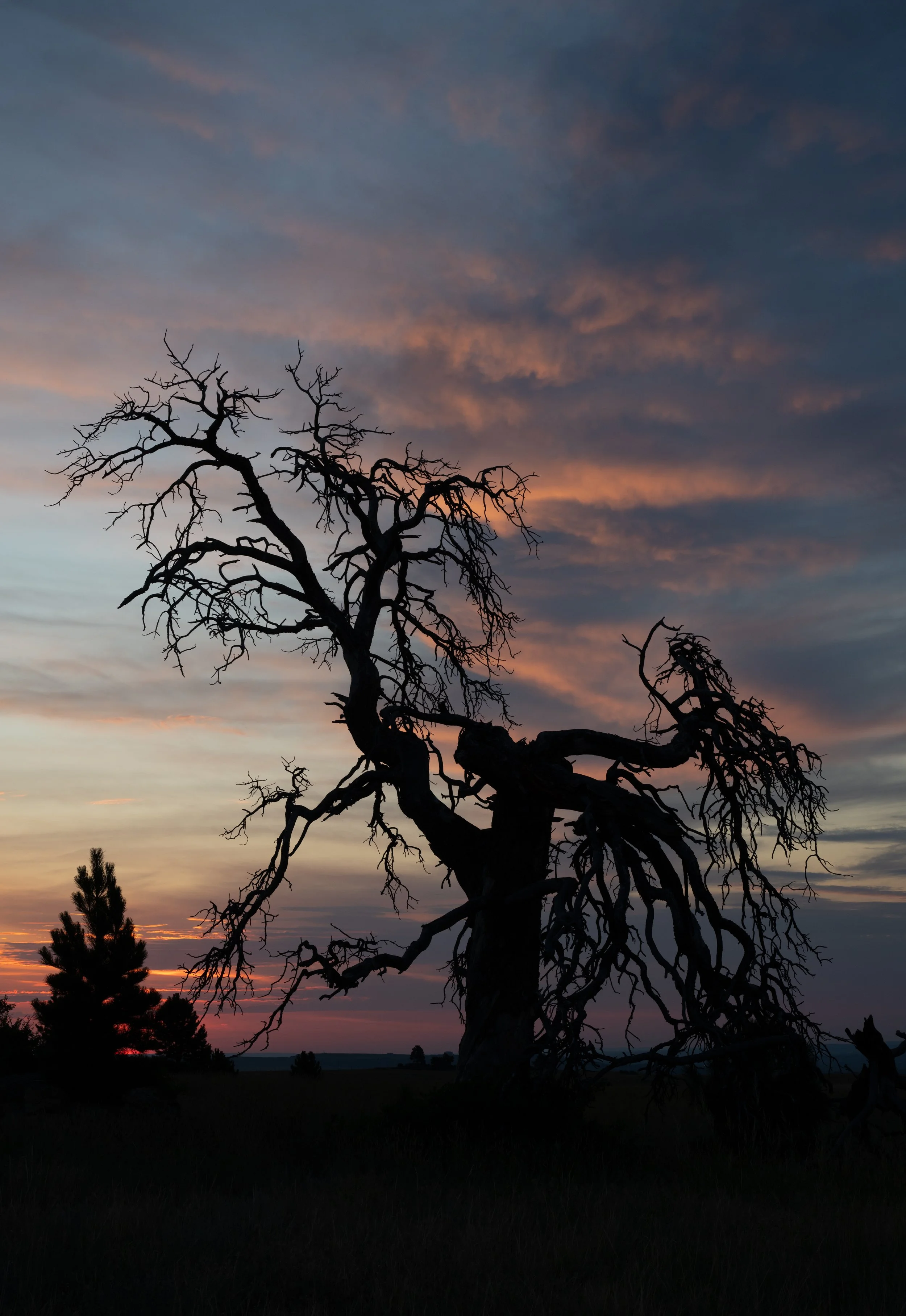 Montana Outdoors-23.jpg