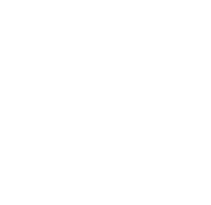 Vira and Wellness