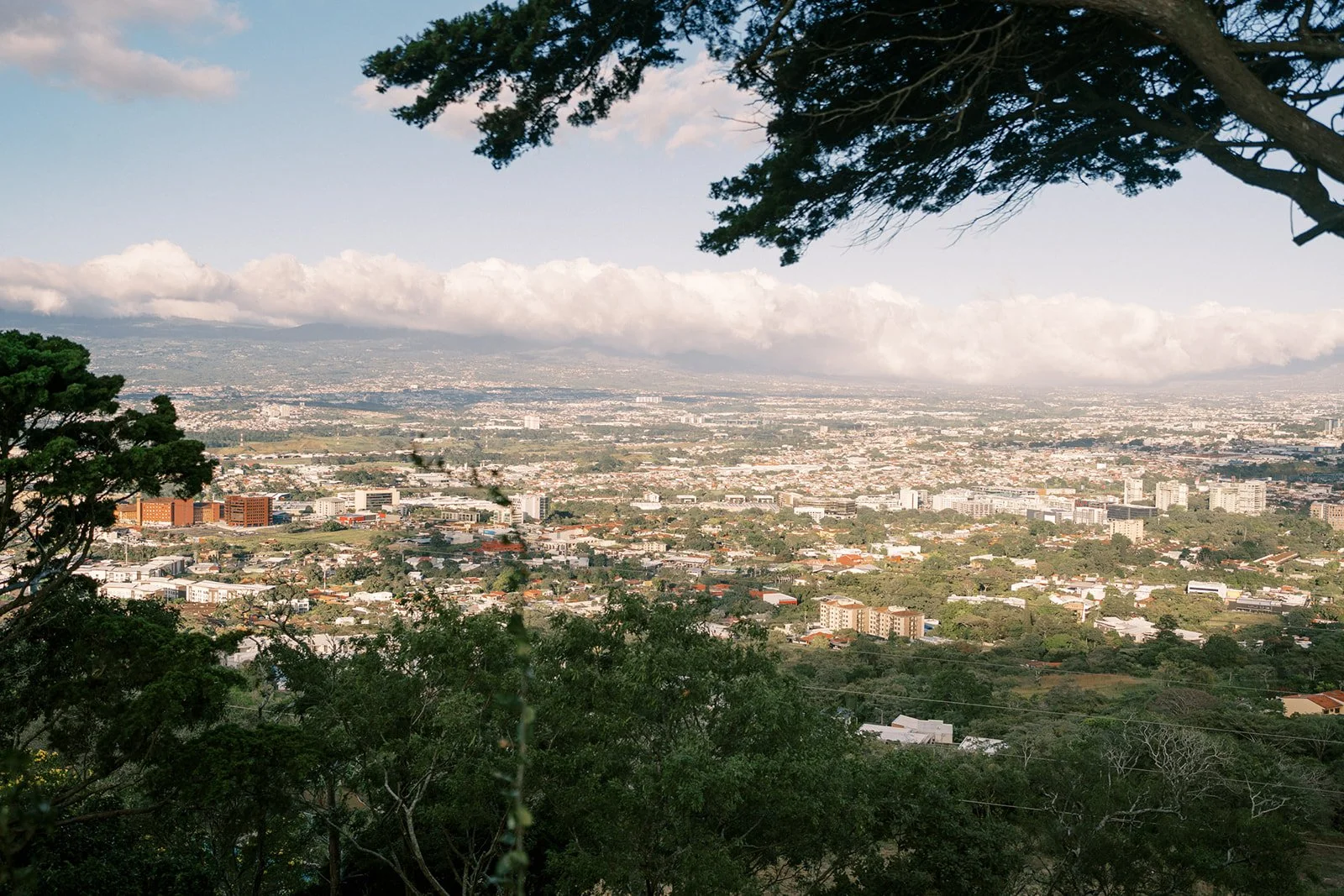 Vista de la ciudad y las montañas desde un punto elevado, rodeada de vegetación durante una boda en Costa Rica.