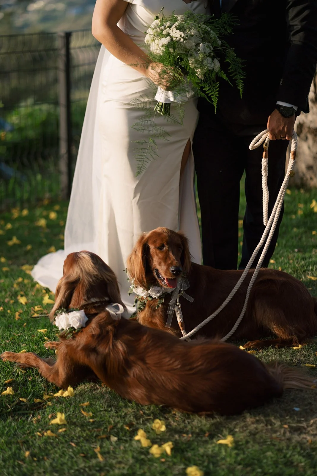 Pareja de novios posando con sus dos perros durante su boda, con flores, bouquet blanco y un entorno natural de fondo.