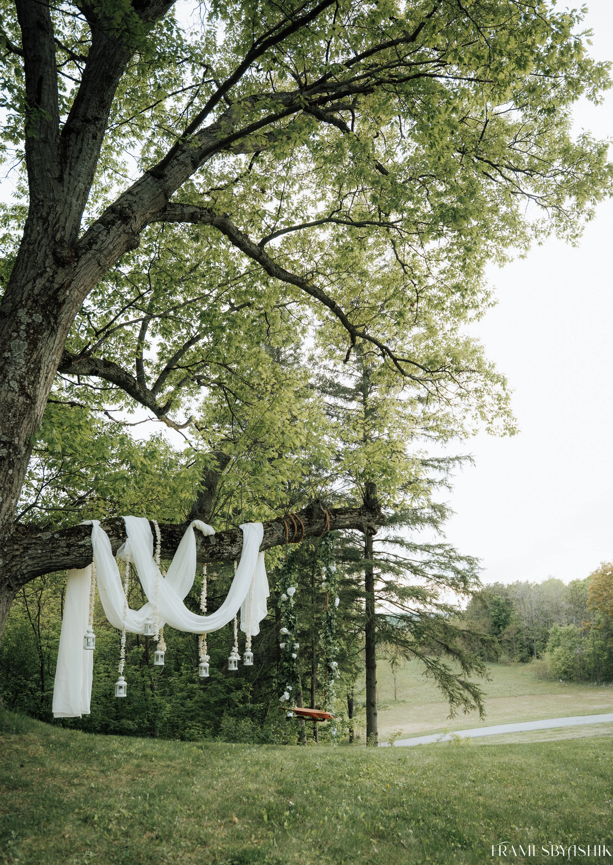 Decorated tree branch with white fabric and lanterns hanging, outdoors in a grassy area with trees in the background.