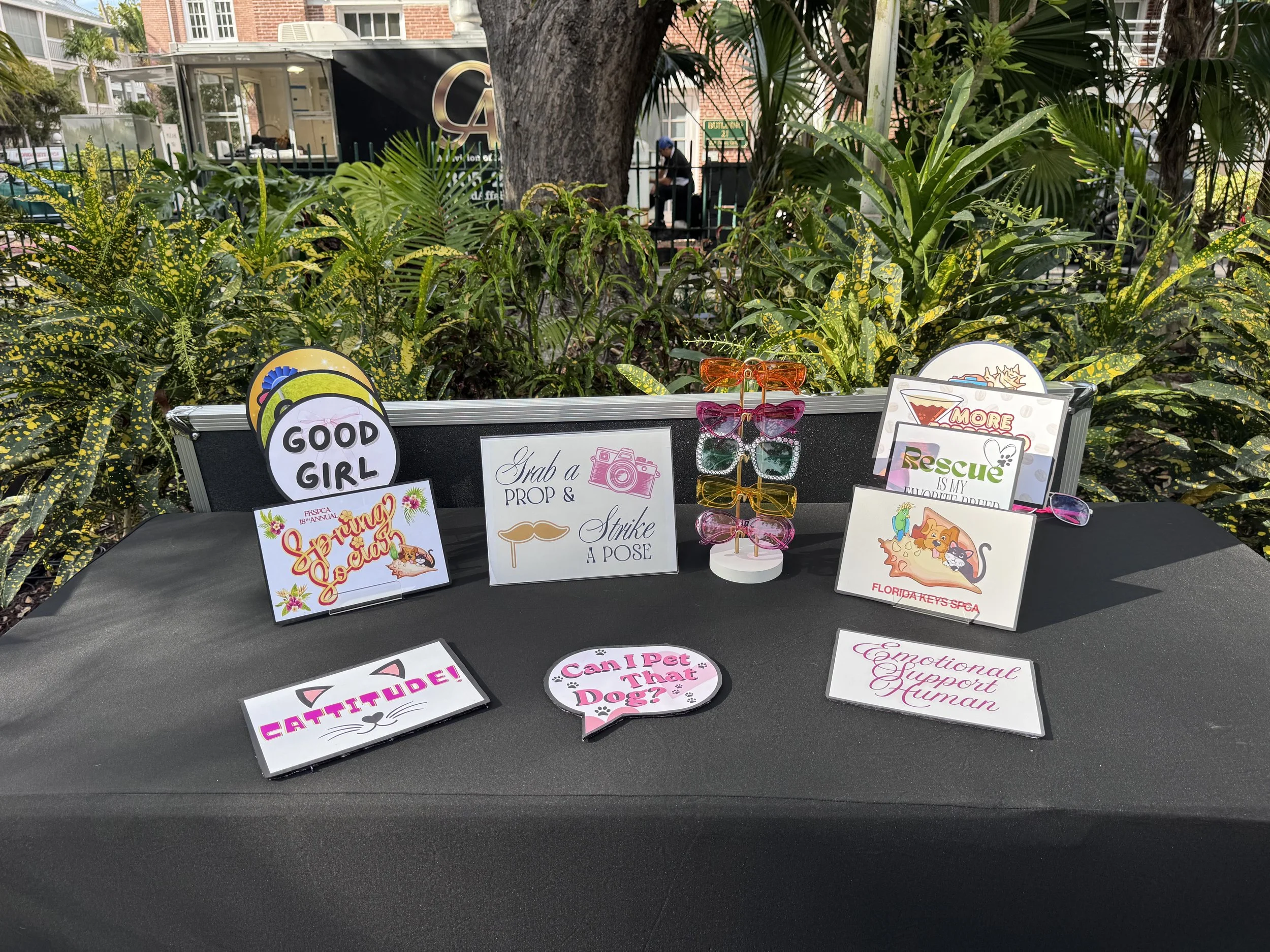 Photo Mar 13 2026, 5 12 16 PM.jpg