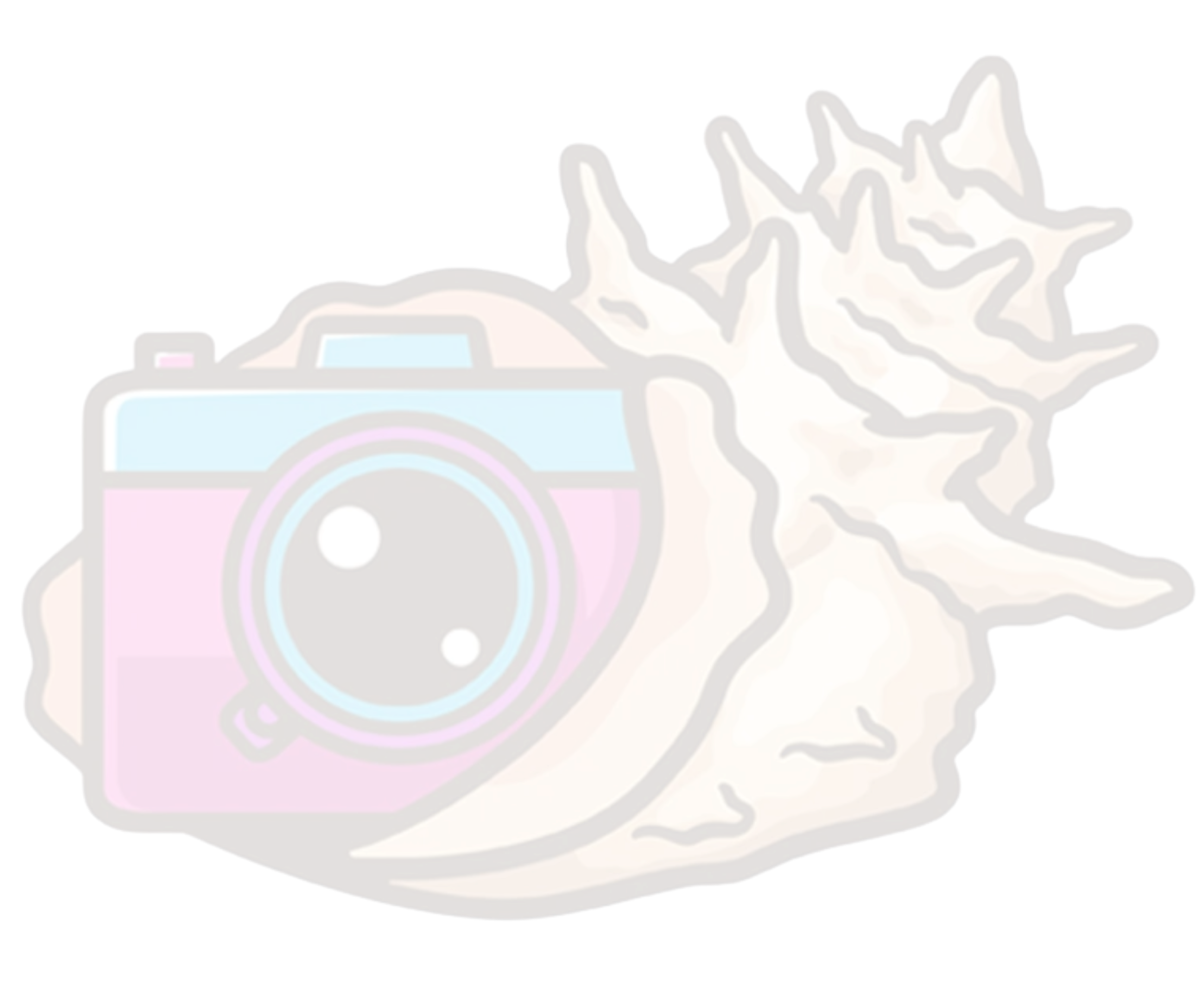 Conch Cam Logo