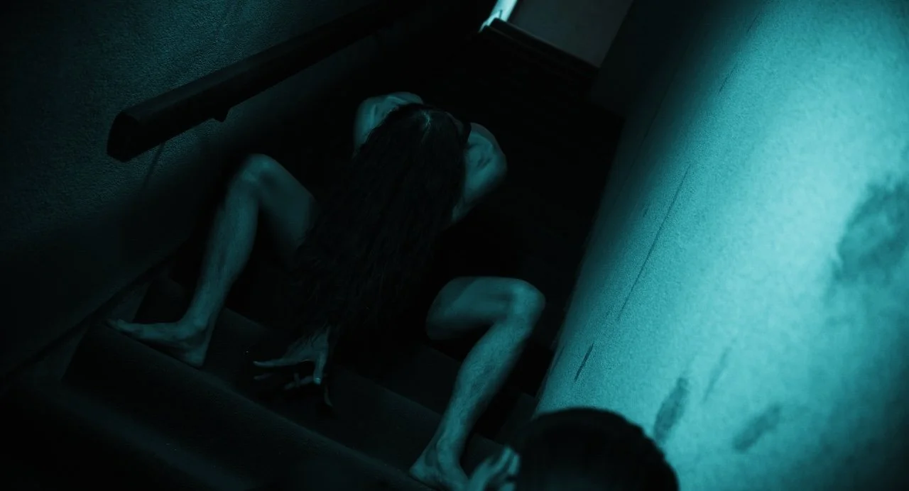 panels-dance-film-23.jpg