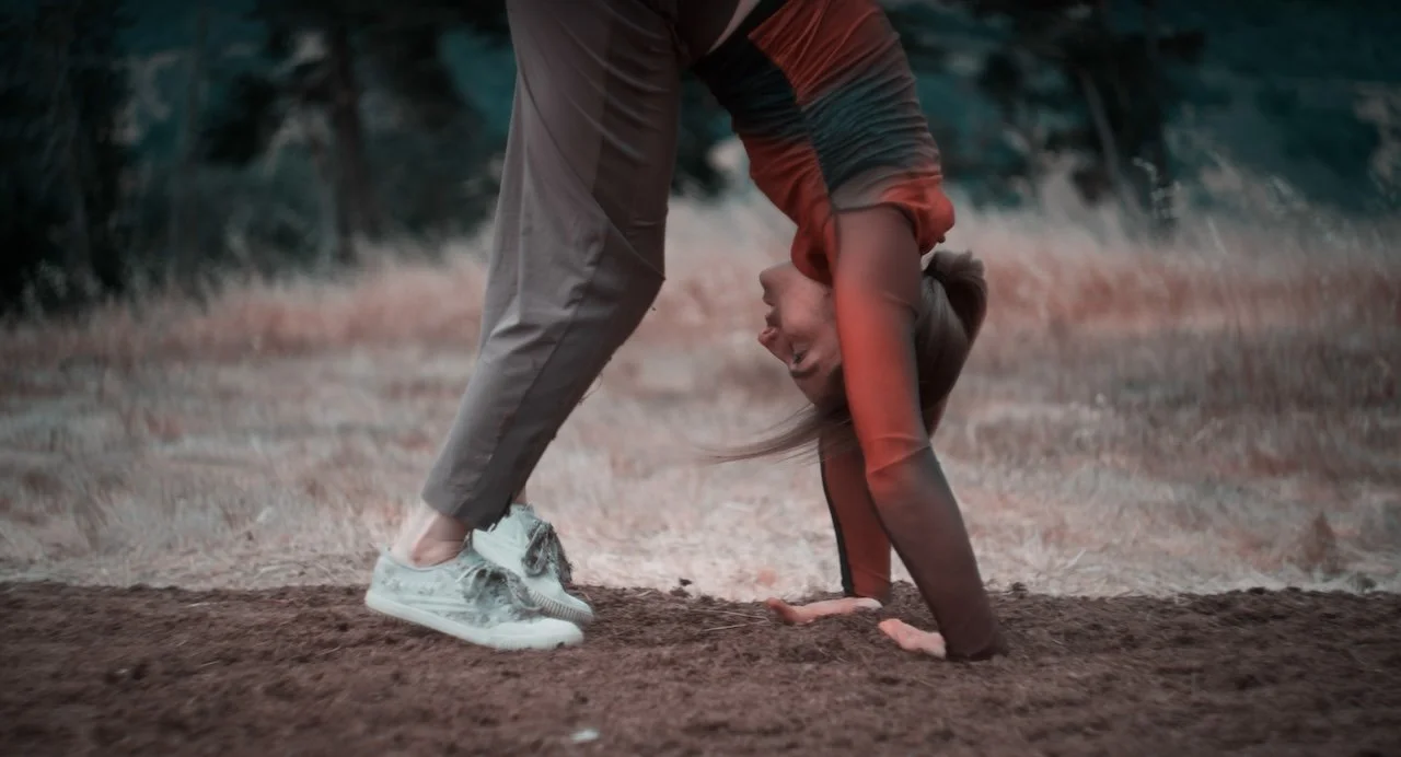 panels-dance-film-9.jpg