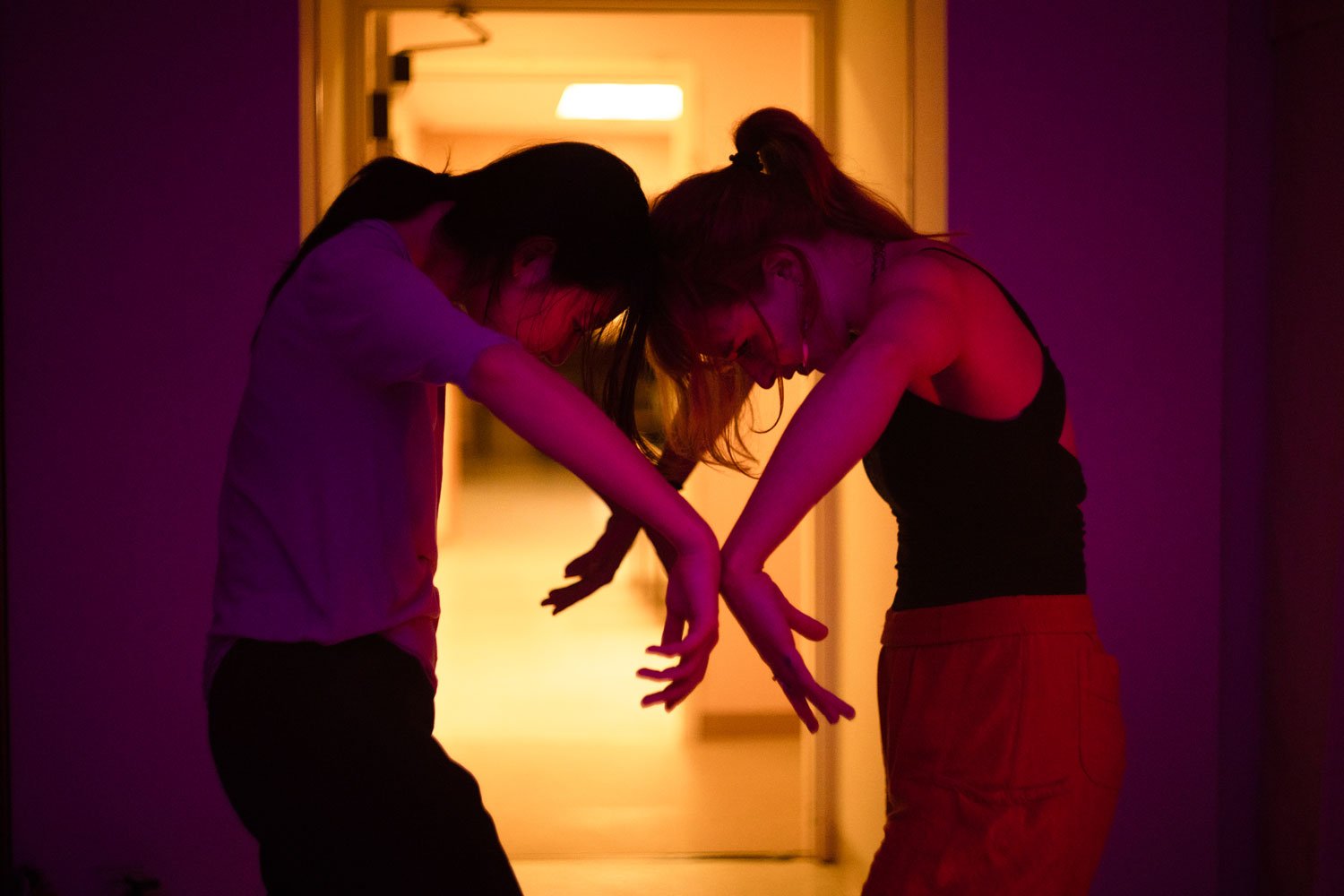 panels-dance-film-123.jpg