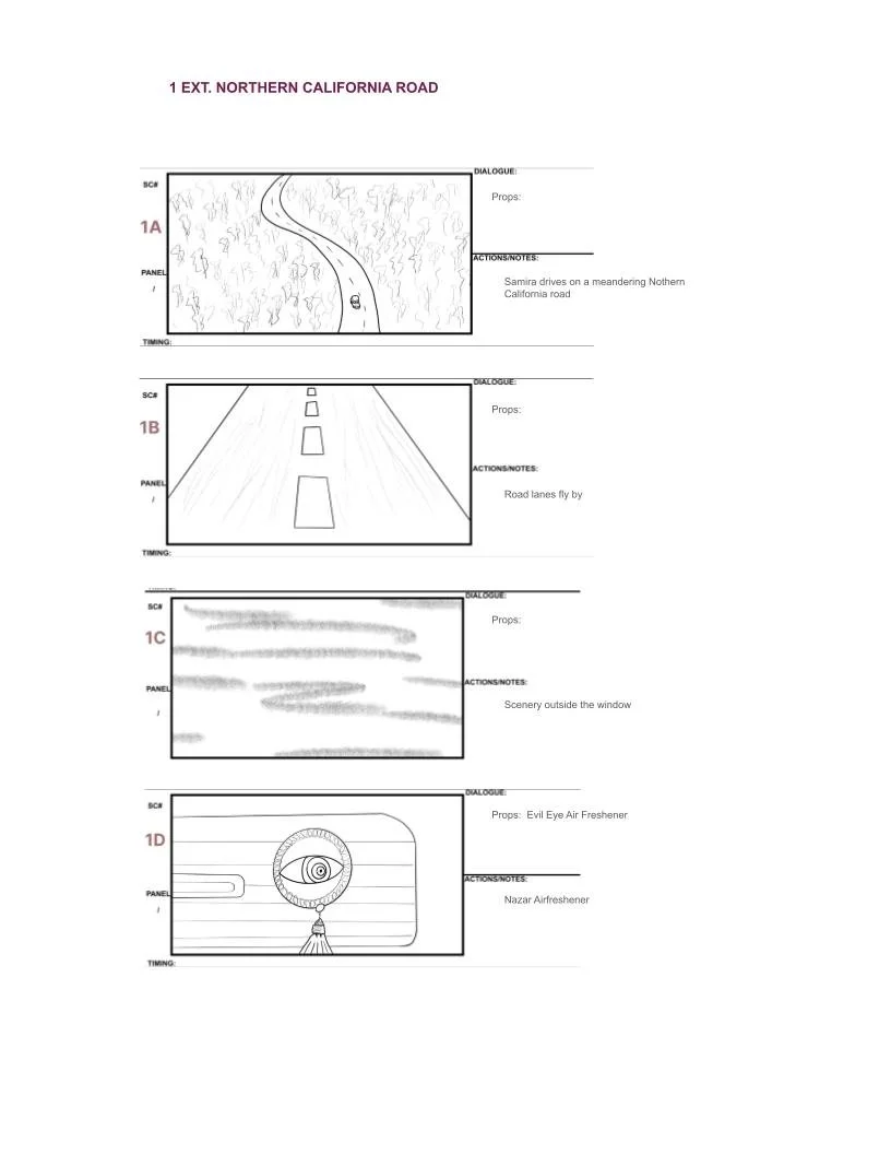 learners-permit-storyboard-1.jpg
