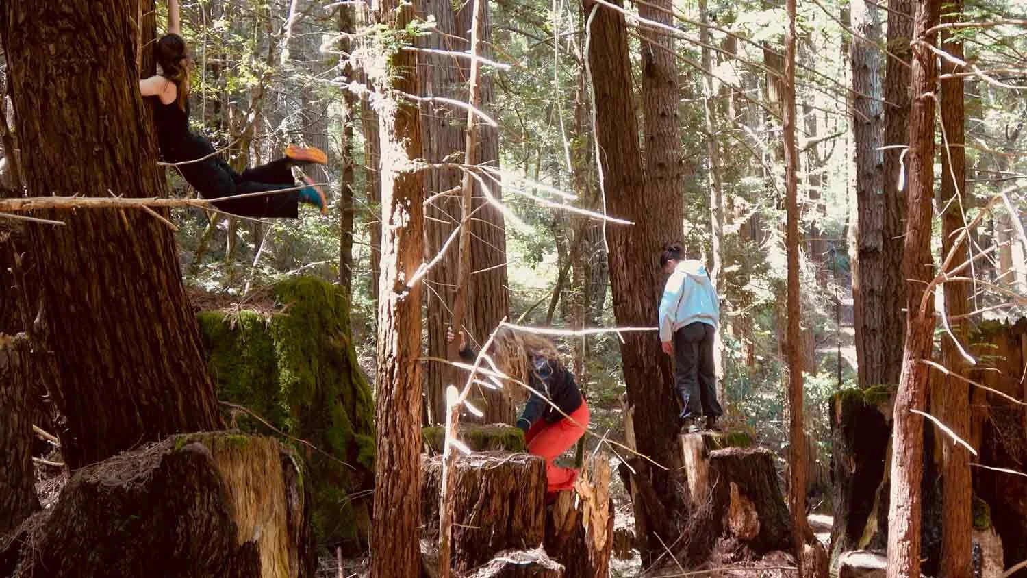 panels-dance-film-127.jpg