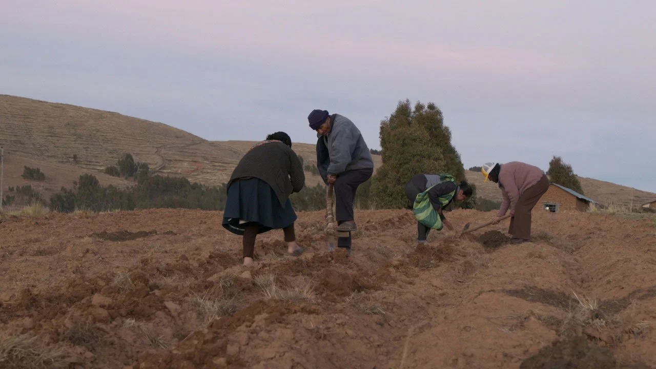 los-agricultores-15.jpg