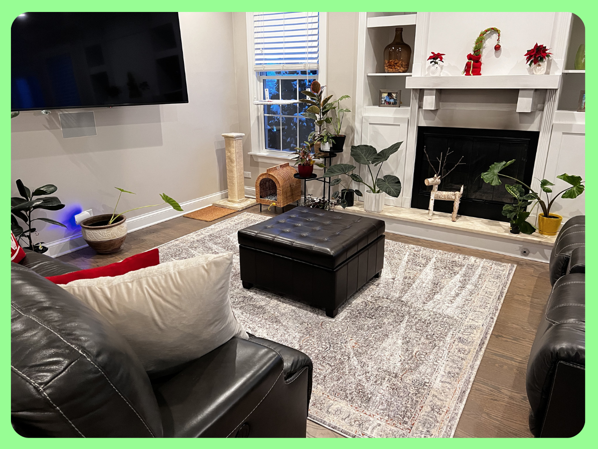 Living room with two black leather sofas, a black leather ottoman, a patterned area rug, a fireplace with holiday decorations, houseplants, a wall-mounted flat-screen TV, and a window with blinds.