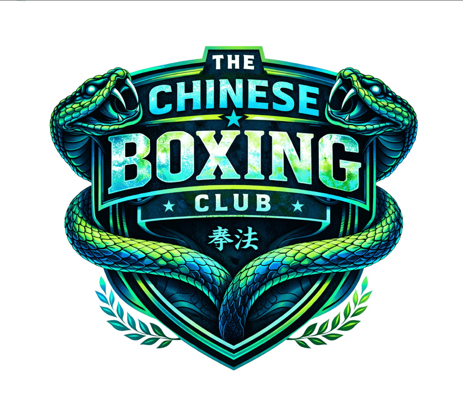 THE CHINESE BOXING SPACESHIP