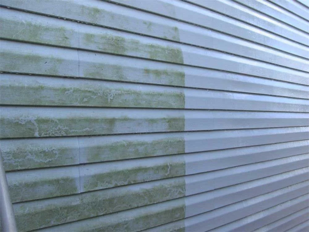 An exterior house wall with horizontal siding, showing areas of green moss or mold growth on the surface.