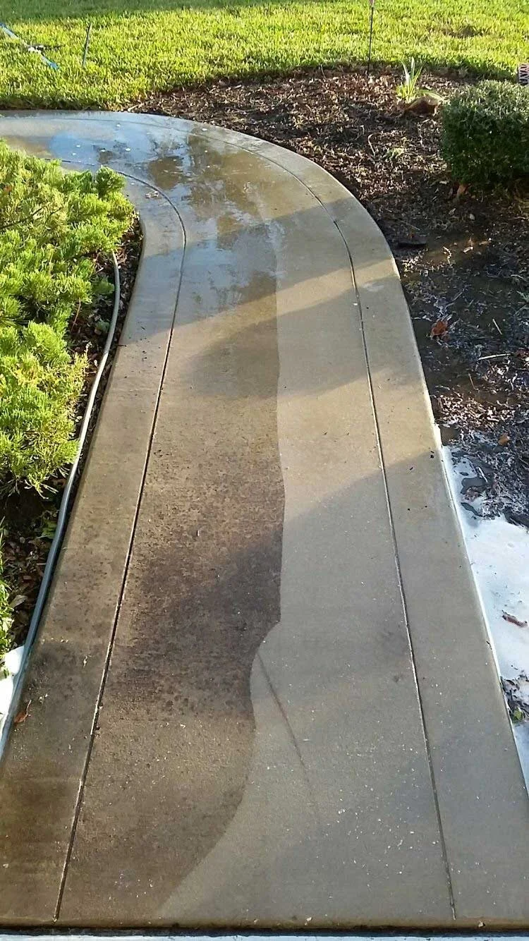 Wet sidewalk reflecting sunlight, adjacent to green bushes and garden bed with a few plants.