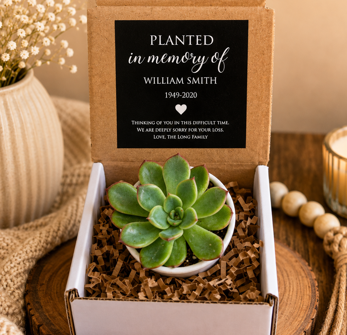 Memorial Succulent Gift – Personalized Sympathy Gift for Loss