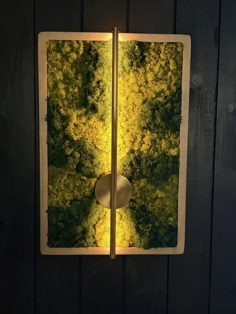 Moss Art with Lighting
