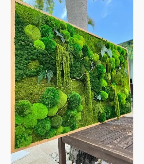 Moss Art (Framed/No lighting)