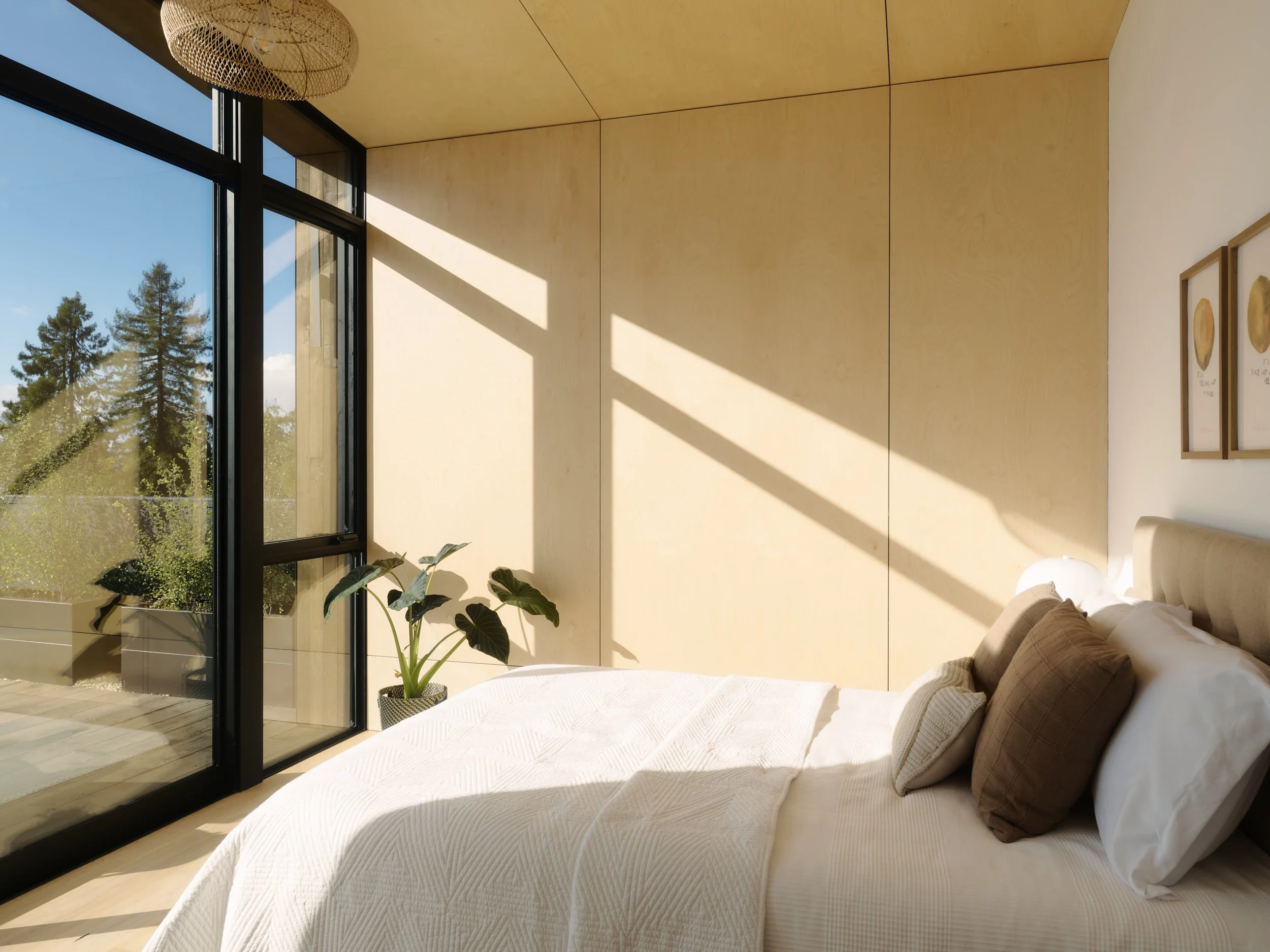 A bedroom with large black-framed glass doors, white bedspread, and brown pillows, sunlight casting shadows on the wall, and a potted plant near the window.