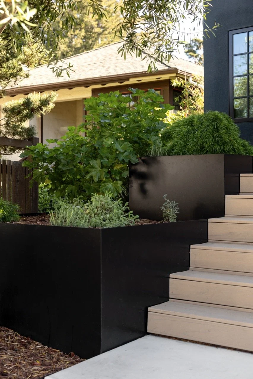 Modern outdoor planter with various green plants and shrubs next to stairs leading up to a house with a dark exterior.