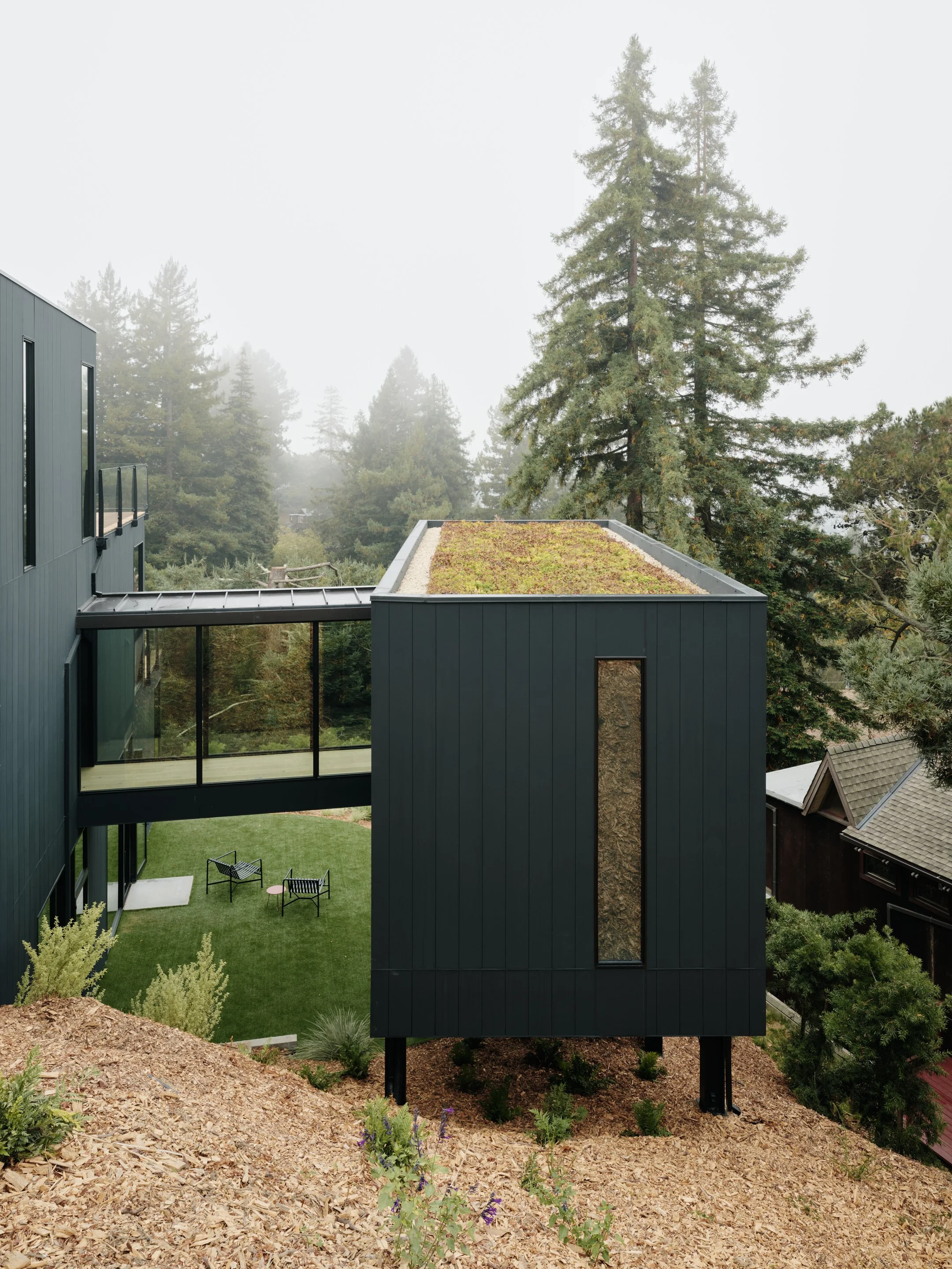 Modern black building with a flat green roof, large glass windows, and a small outdoor seating area with black chairs, surrounded by a landscaped yard with plants and mulch, with tall pine trees and misty sky in the background.