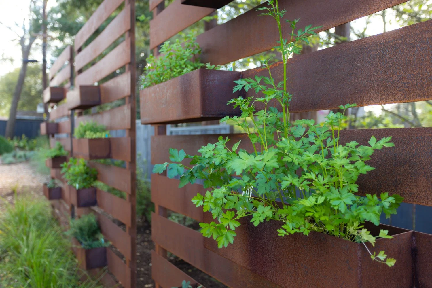 Close-up of a rusted metal garden fence with planters filled with green plants, in a garden with trees and other plants visible in the background.