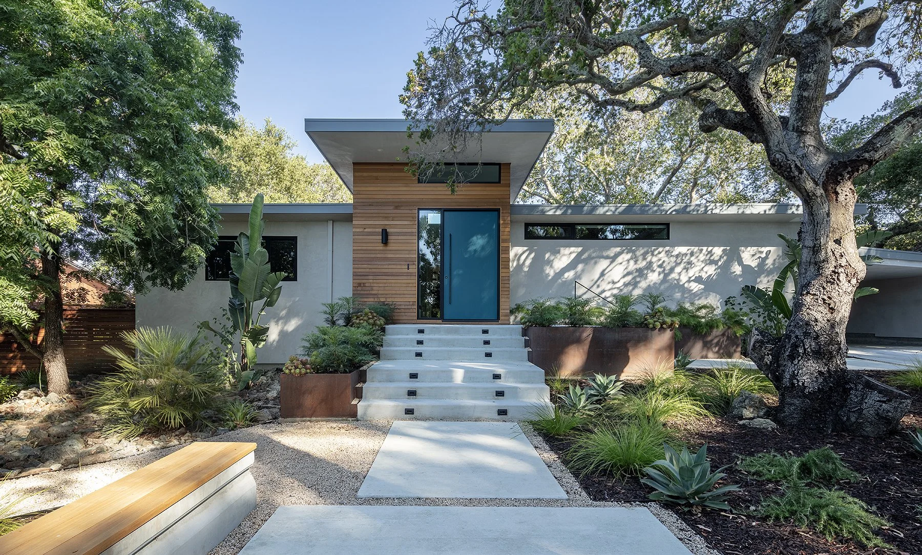Modern house with a blue front door, concrete steps, surrounded by lush greenery and trees.