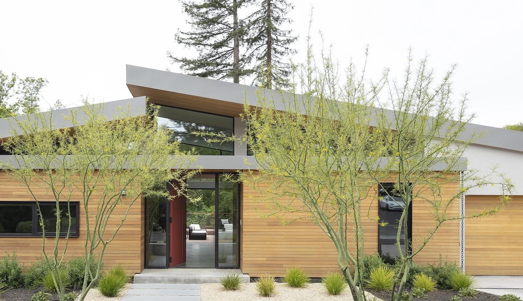 Modern house with wooden siding, large glass doors, and tall trees in front, with a swing on the right side.