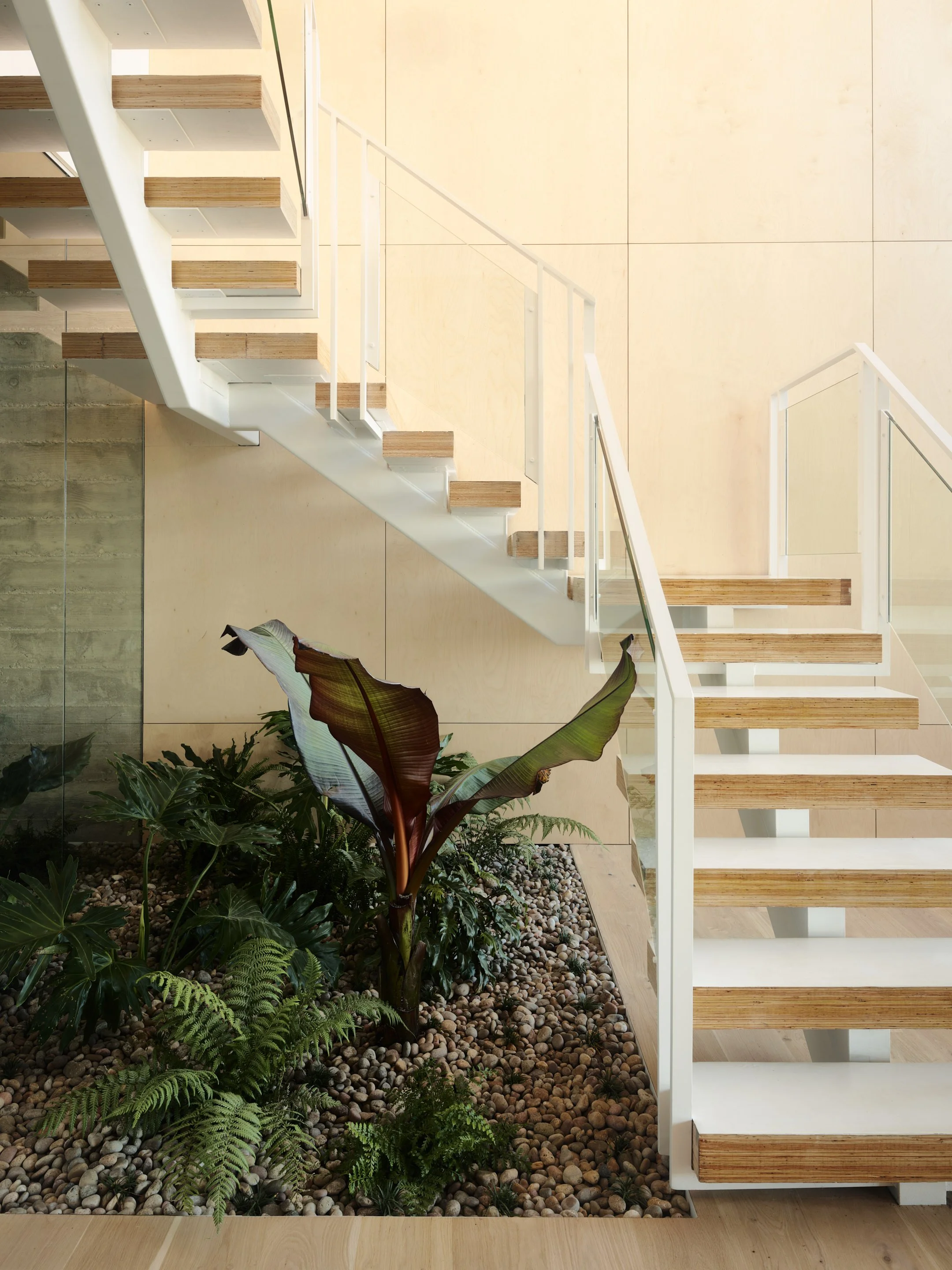An indoor space with a staircase featuring wooden steps and white railings. Below the stairs, there is a garden area with various green plants and pebbles on the ground. The flooring is light-colored wood or laminate.