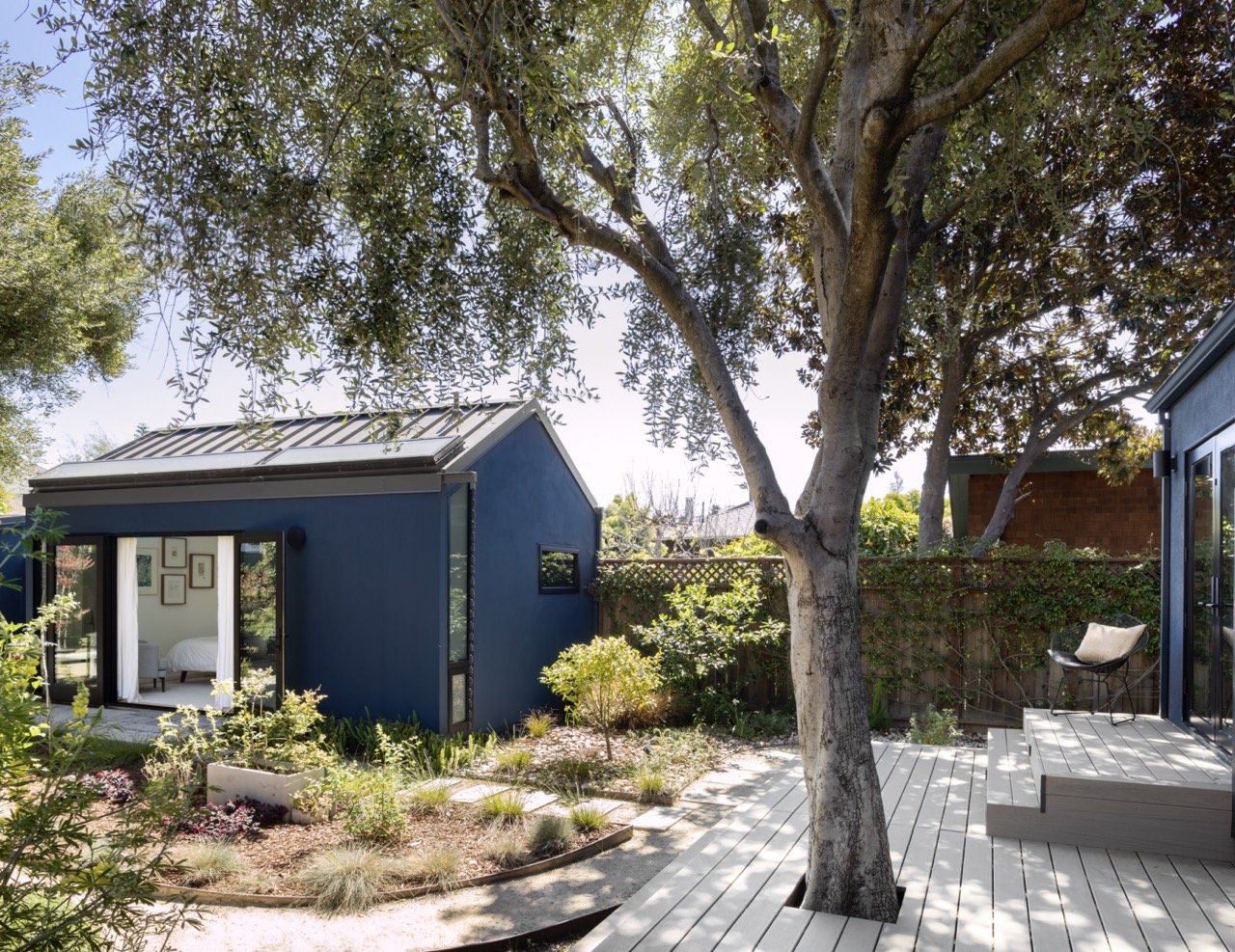 A backyard garden with a large tree in the center, a small blue shed with a metal roof, and a wooden deck with a black chair and a beige cushion, surrounded by lush greenery and plants.