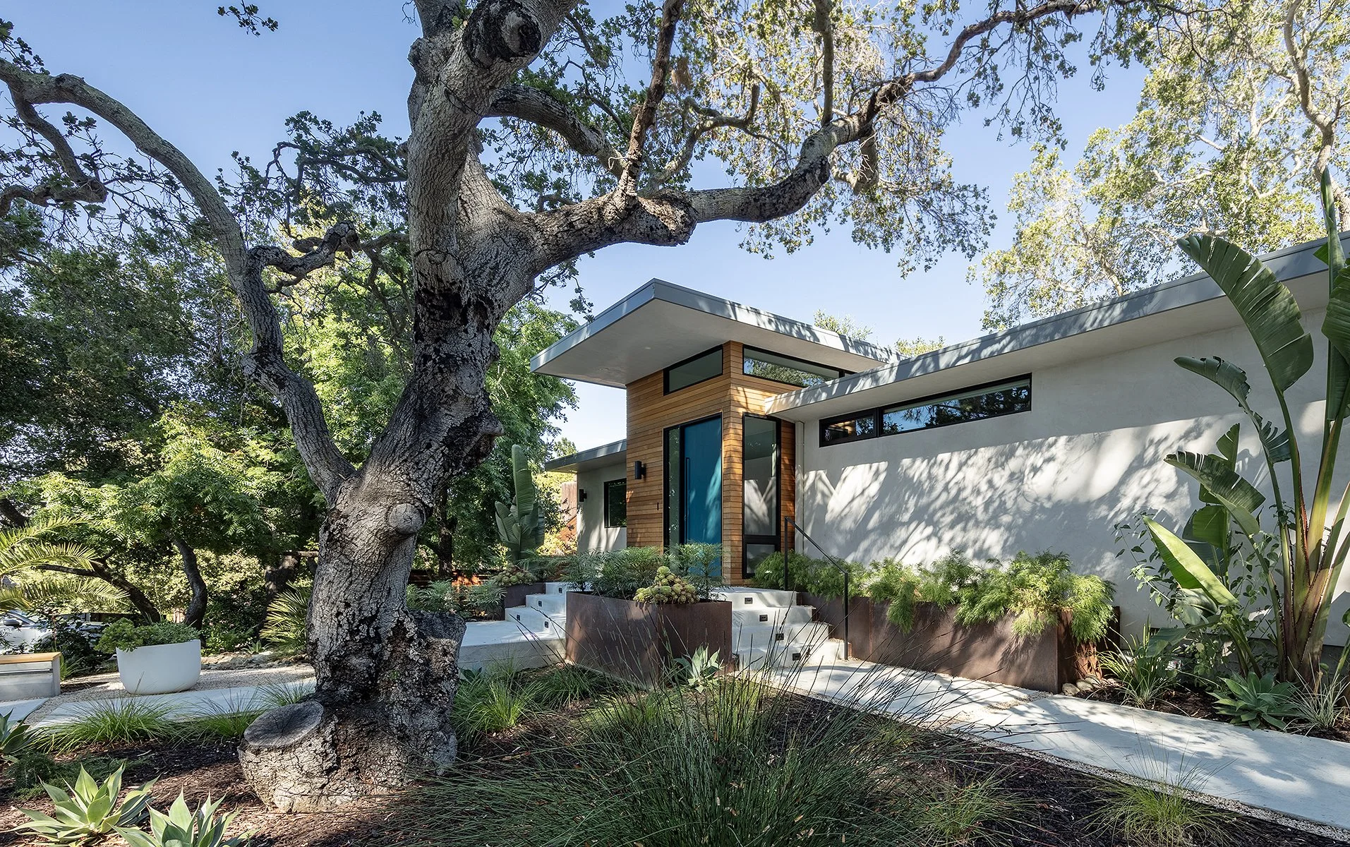 Modern house with large windows and flat roof surrounded by greenery and trees, with a concrete staircase leading up to the entrance.