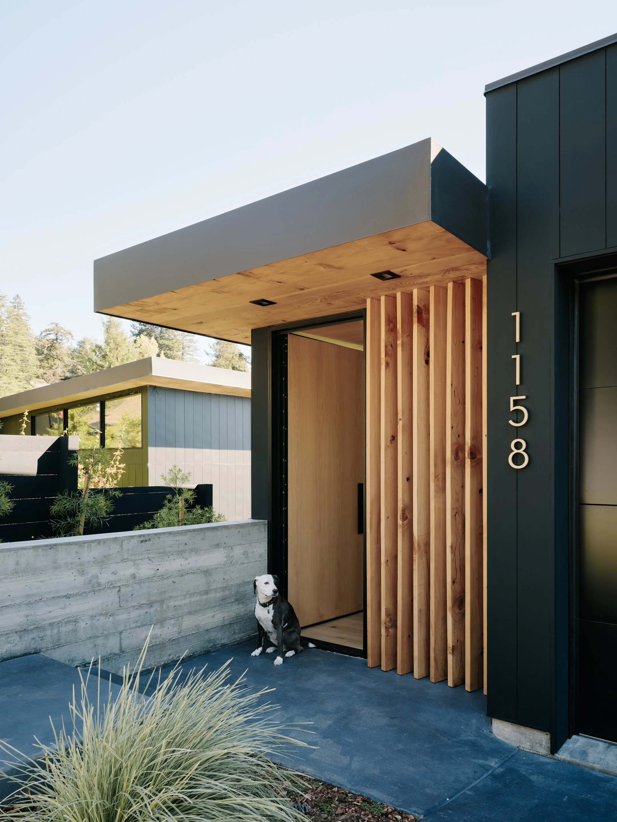 Modern house with black exterior, wooden accent wall, and a black and white dog sitting outside near the entrance.