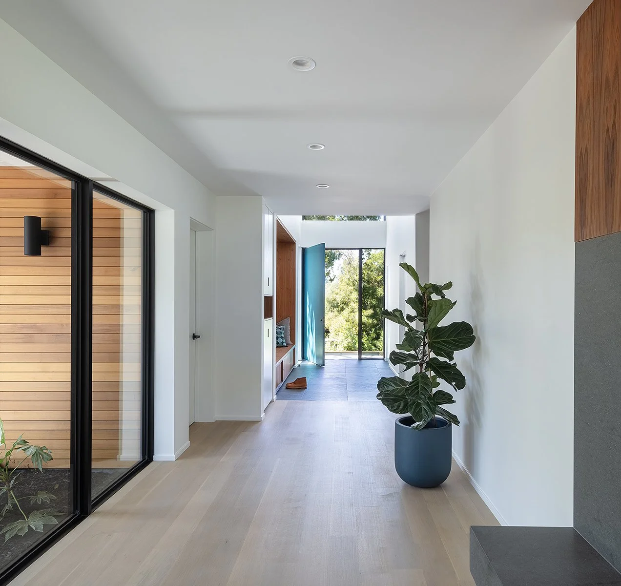 Modern hallway with light wooden flooring, white walls, large potted plant, glass sliding door on the left, and an open door at the end leading outside to greenery.