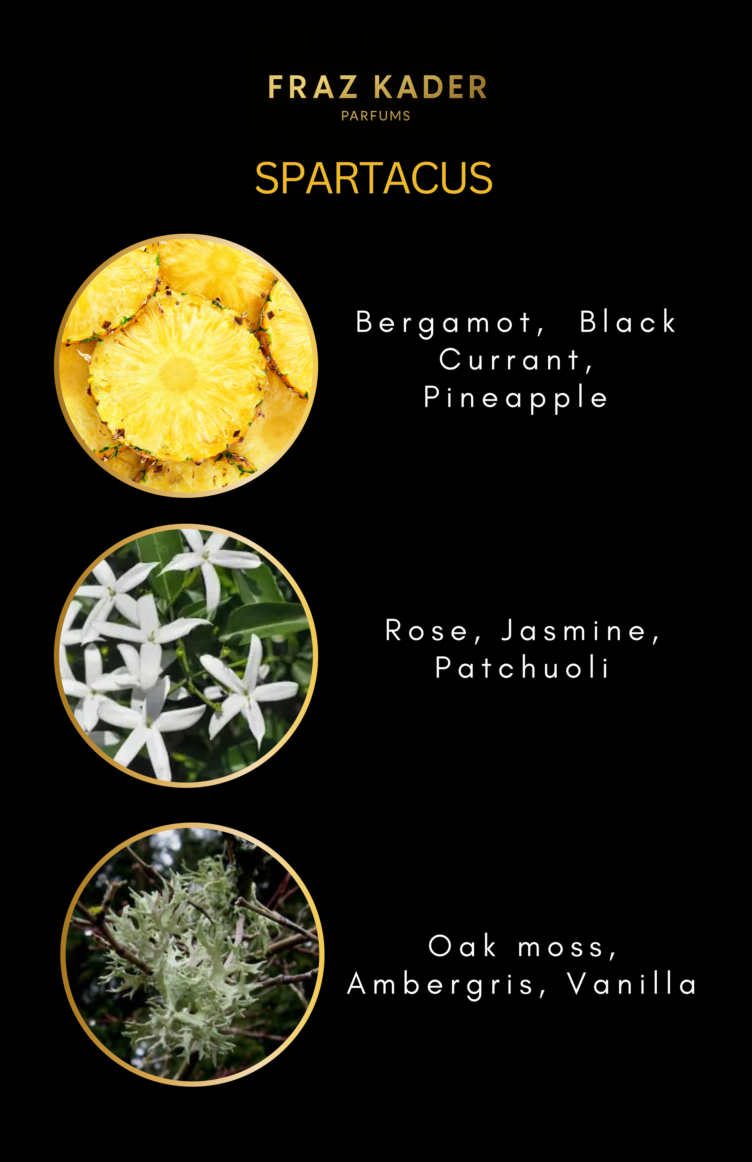 Top note.zip - 9.png