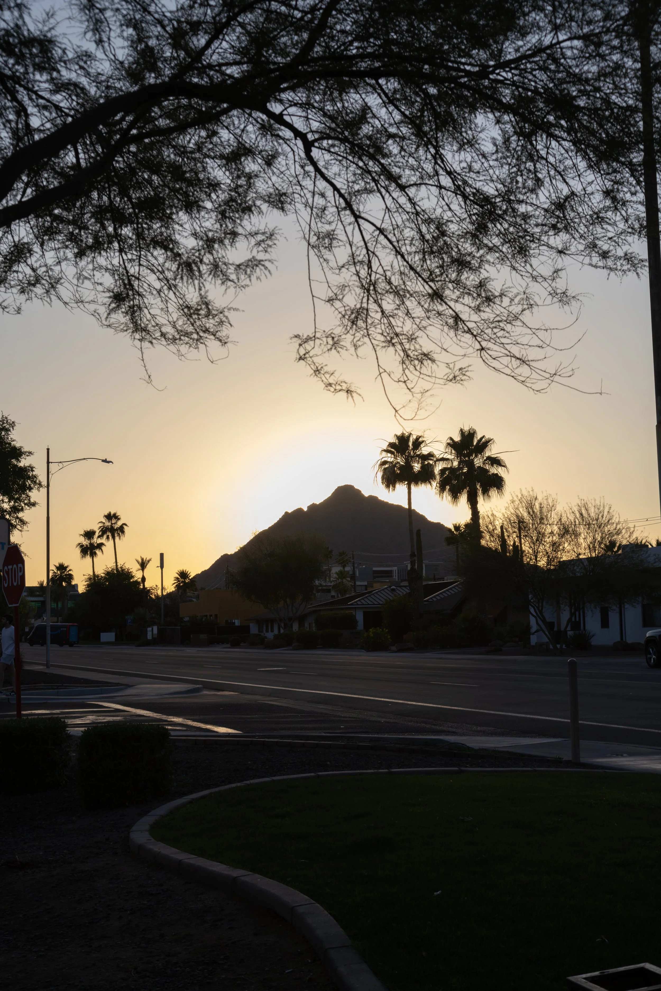 A street scene at sunset with palm trees, a mountain in the background, and power lines, with a mix of trees and buildings in the foreground.