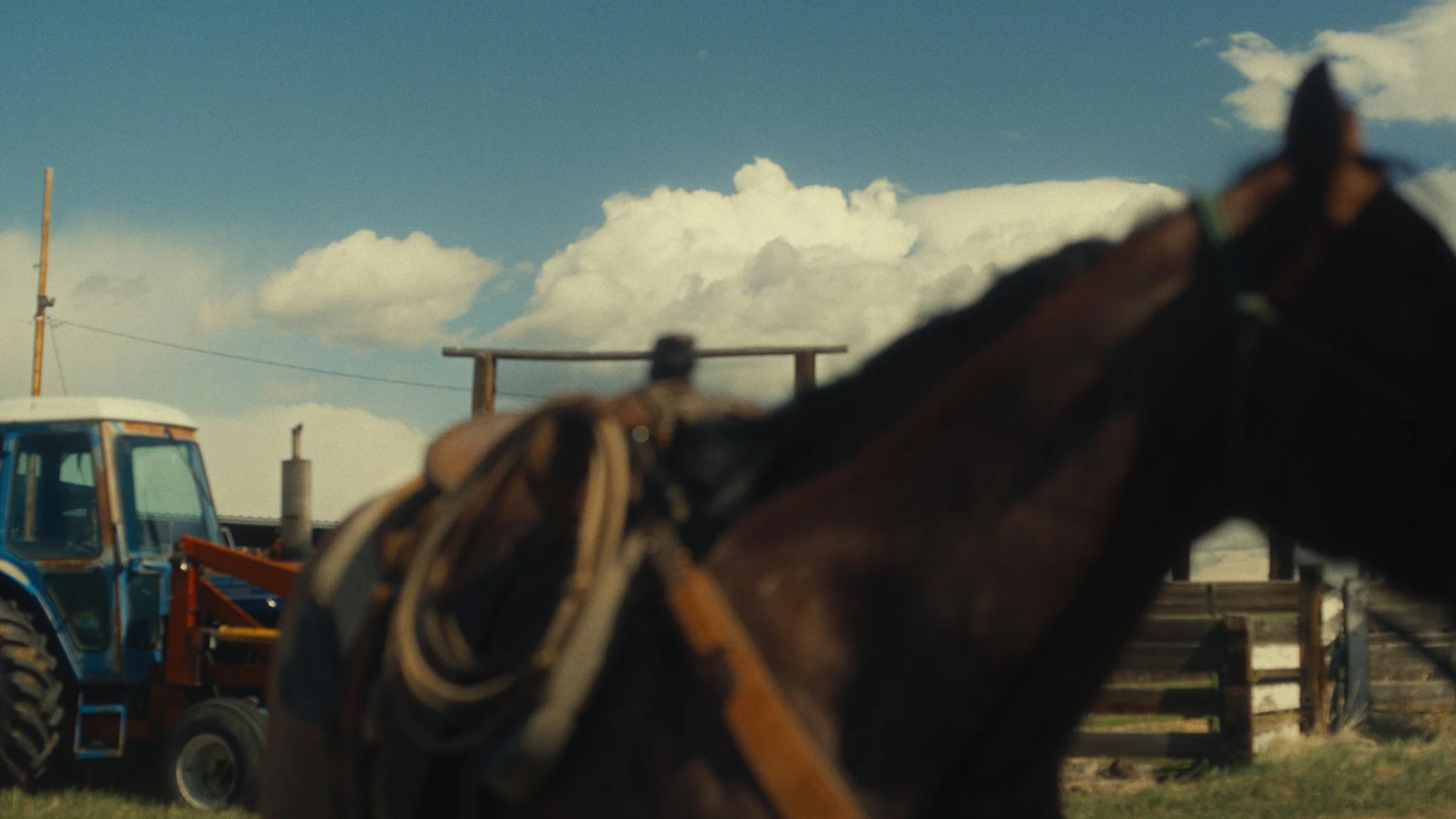 Still 2024-11-13 213004_3.94.2.jpg