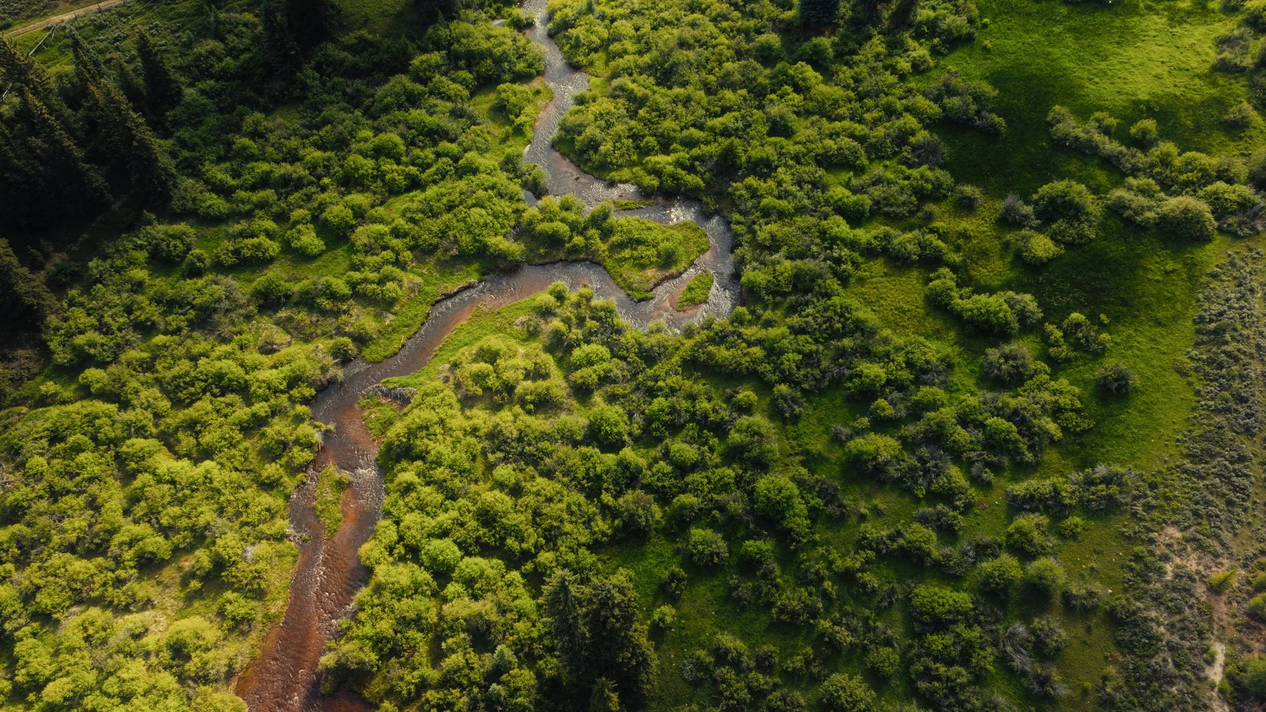 Still 2024-11-13 213004_3.28.1.jpg