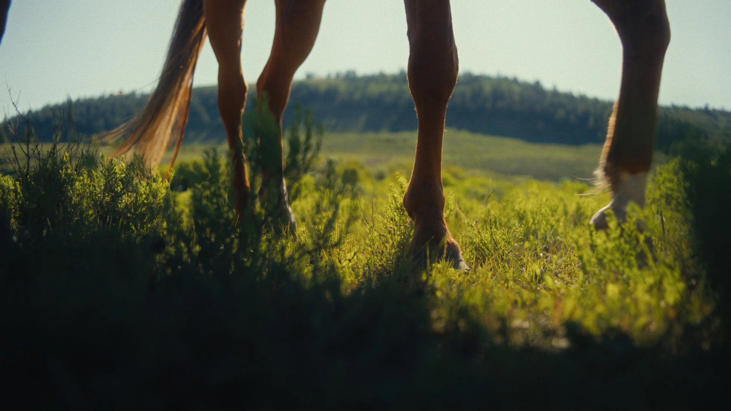 Still 2024-11-13 213004_3.32.1.jpg