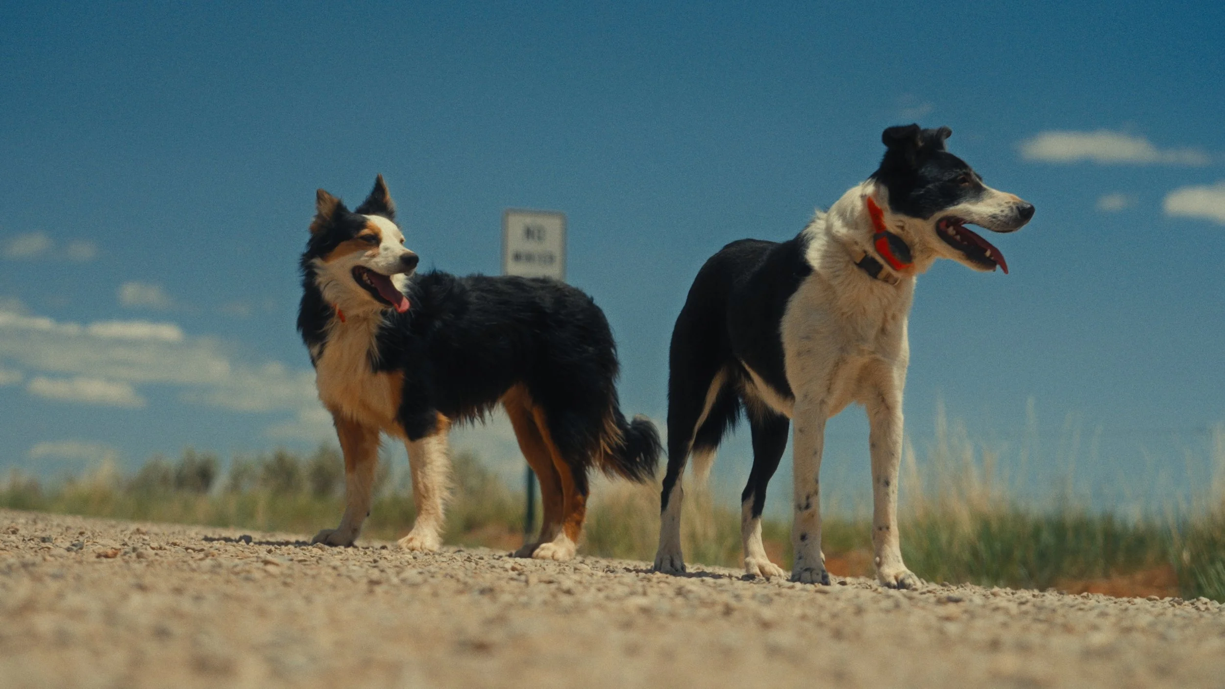 Still 2024-11-13 213004_3.75.2.jpg