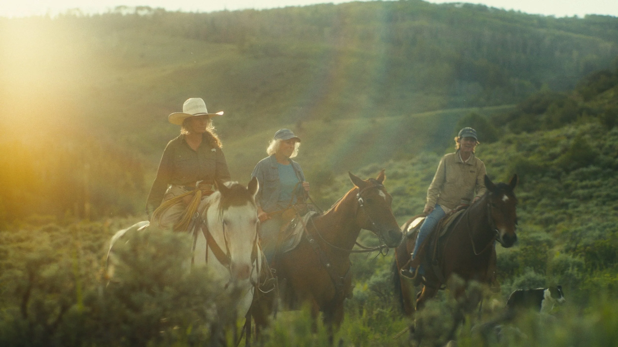 Still 2024-11-13 213004_3.33.1.jpg