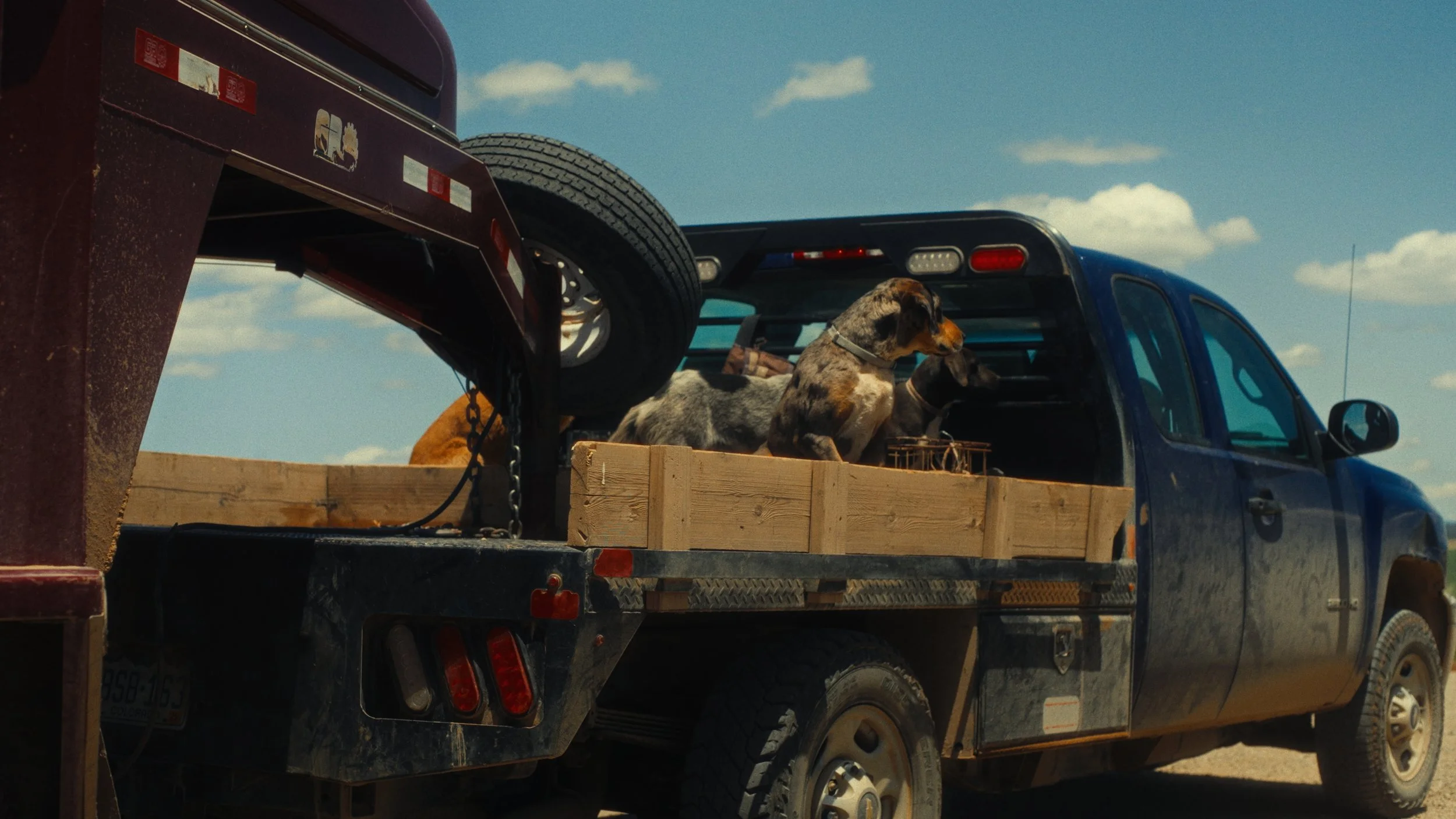 Still 2024-11-13 213004_3.67.1.jpg