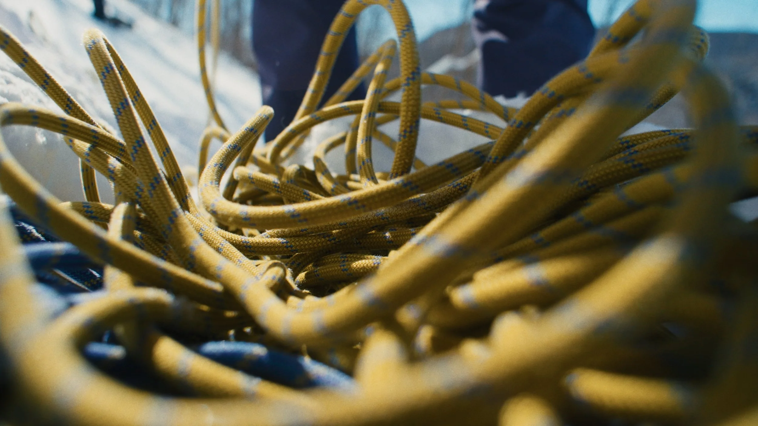 Still 2026-01-16 103646_1.2.1.jpg