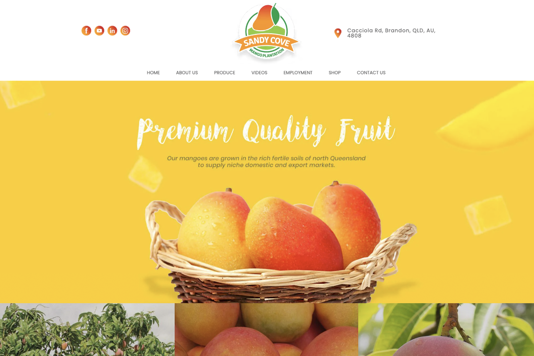 Jasper-Design-Websites-19.png