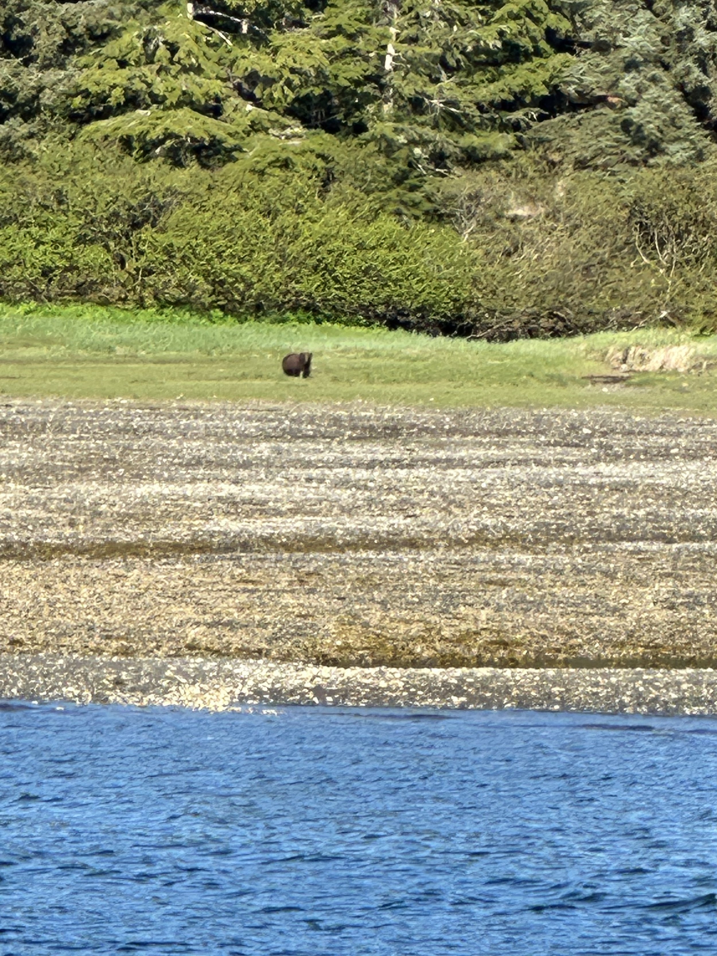 IMG_5680.jpeg