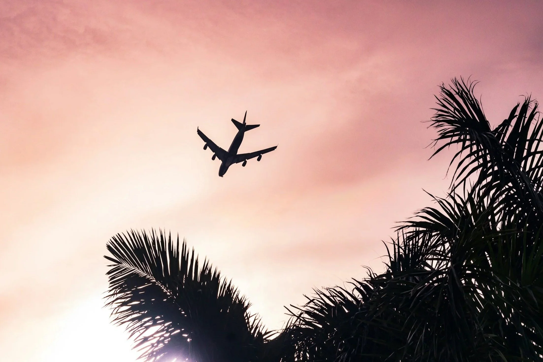 An airplane flying in a pinkish-orange sky during sunset, with silhouettes of palm trees in the foreground.
