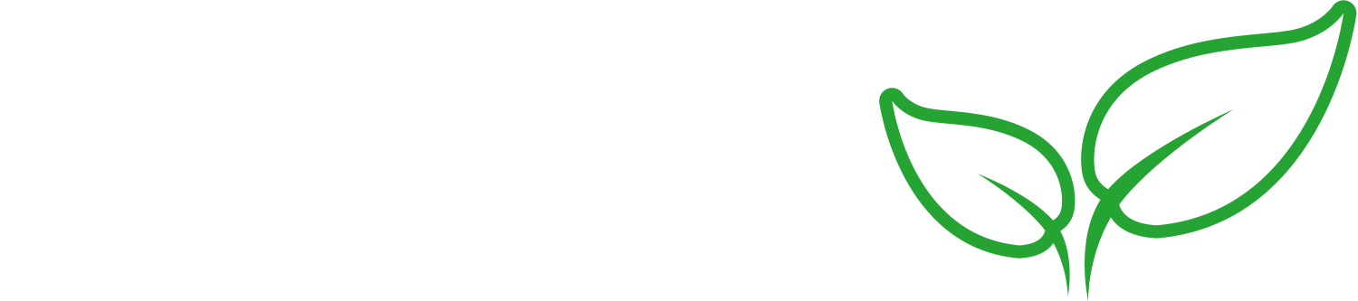 Focus Landscaping and Design (Copy)